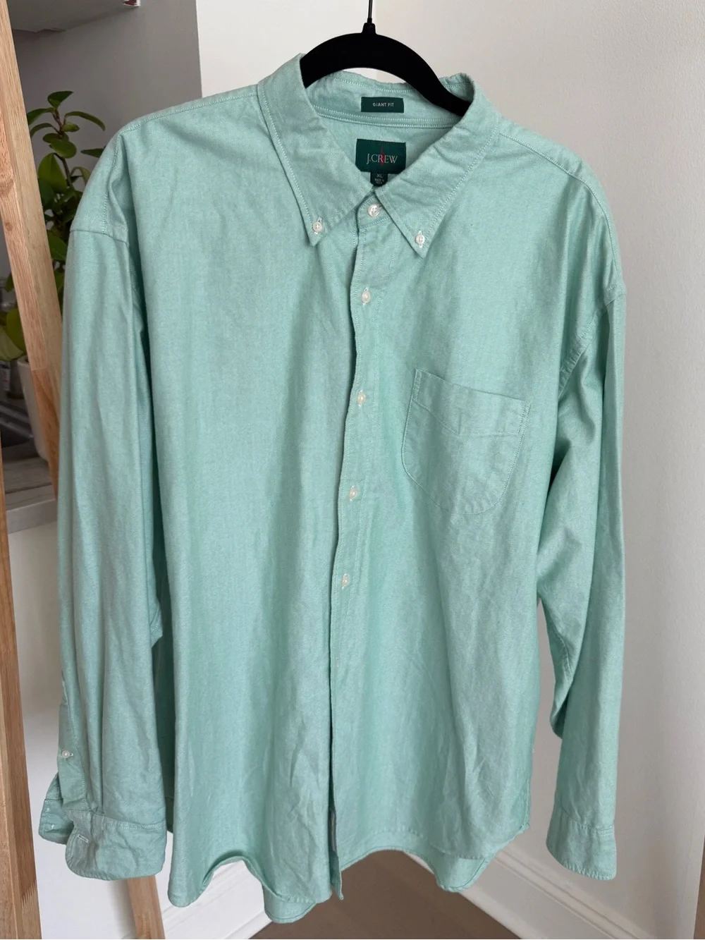 J. Crew Giant Fit Oxford Shirt